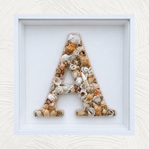May include: A framed letter "A" artwork. The letter is made from assorted seashells in tan, brown, and white hues, set against a white backdrop. The piece is enclosed in a white, square frame, evoking a coastal or nautical aesthetic.