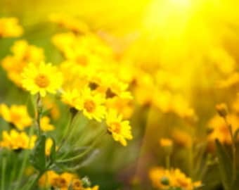 Wreath UV Protection Spray Service - Protect Your Wreath