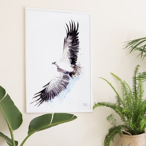 Australian Birds White-bellied Sea Eagle Giclee Art Print Bild 2