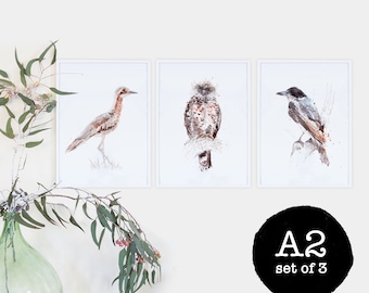 Australian birds A2 print set of 3, giclee, Australiana