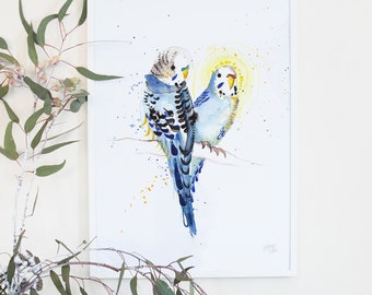 Australian Birds Budgie, Budgerigar, Giclee Art Print, Australiana Nursery