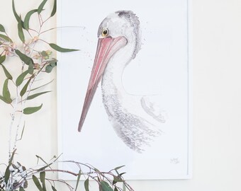 Australian Birds Pelican Giclee Art Print, Australiana