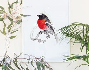 Australian Scarlet Robin Giclee Art Print