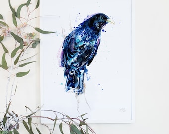 Australian Birds Satin Bowerbird Giclee Art Print