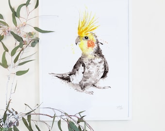 Australian Birds Cockatiel Giclee Art Print