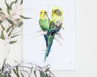 Australian Birds Budgerigars Giclee Art Print, Australiana, Common Parakeet, Parrot, Budgies