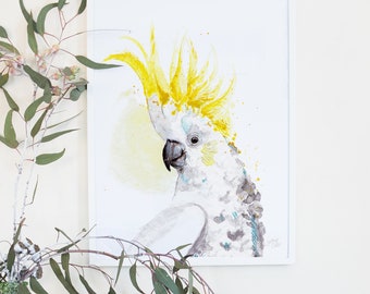 Australian Birds Sulphur Crested Cockatoo Giclee Art Print