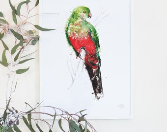 Australian Birds King Parrot Giclée Art Print, Australiana