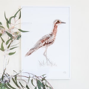 Australian Birds Bush-stone Curlew Giclee Art Print image 1
