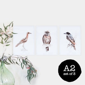 Australian birds A2 print set of 3, giclee, Australiana image 1