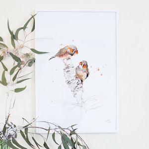 Zebra Finch Archival Giclee Art Print