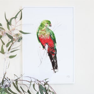 Australian Birds King Parrot Giclée Art Print, Australiana
