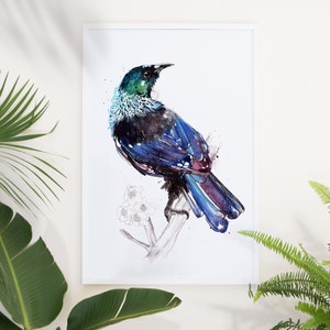 New Zealand Bird Tui Limited Edition Giclee Art Print image 1