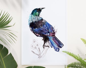 New Zealand Bird Tui Limited Edition Giclee Art Print