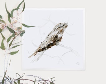 Australian Tawny Frogmouth Giclee Archival Art Print, Square