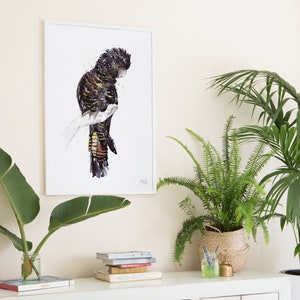 Australian Birds Red-tailed Black Cockatoo Giclee Art Print, Limited Edition image 2