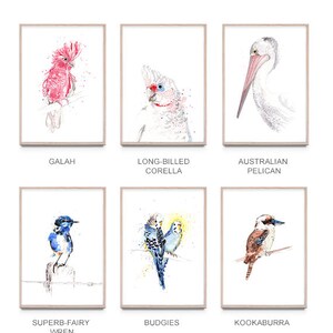 Australian birds A2 print set of 3, giclee, Australiana image 2