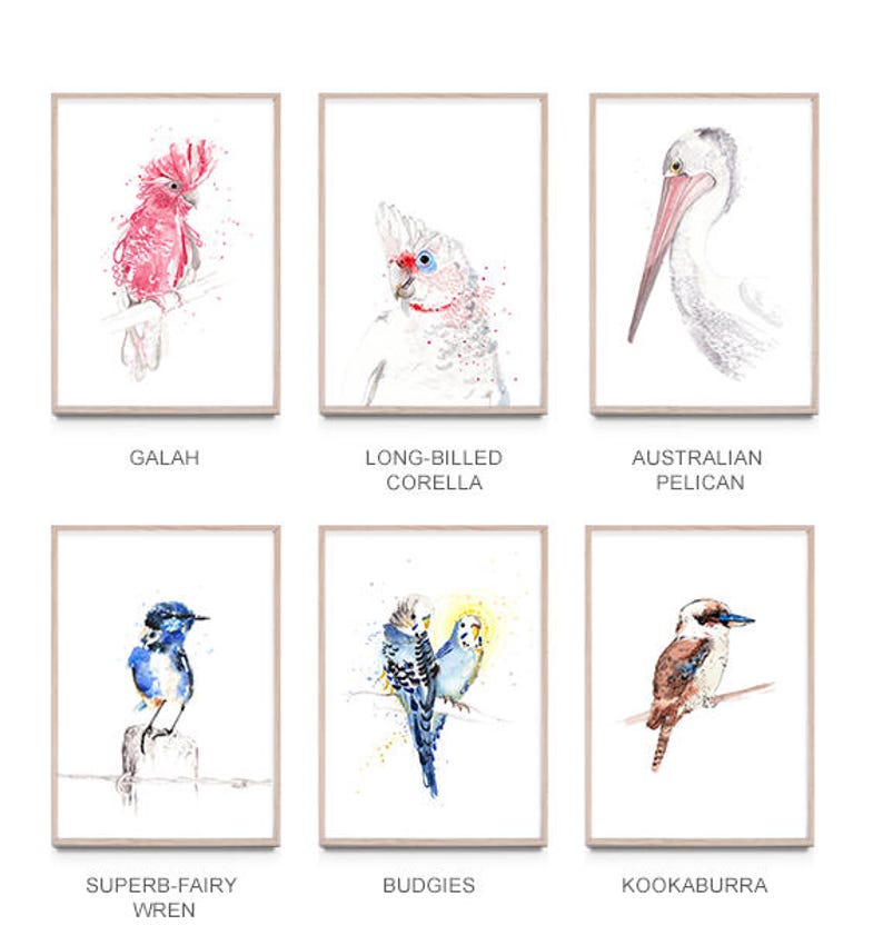 Australian birds A2 print set of 3, giclee, Australiana image 2