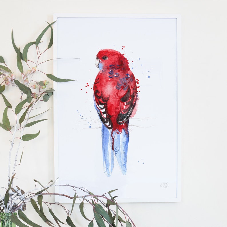 Australian Bird Crimson Rosella Parrot Giclee Art Print zdjęcie 1