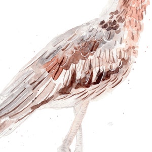 Australian Birds Bush-stone Curlew Giclee Art Print image 3