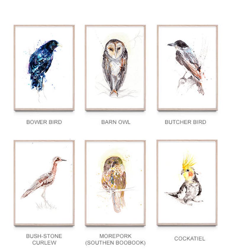 NEW set of 3 A3 Australian Bird art prints giclee prints Etsy