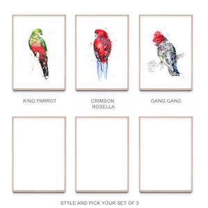 Australian birds A2 print set of 3, giclee, Australiana image 5