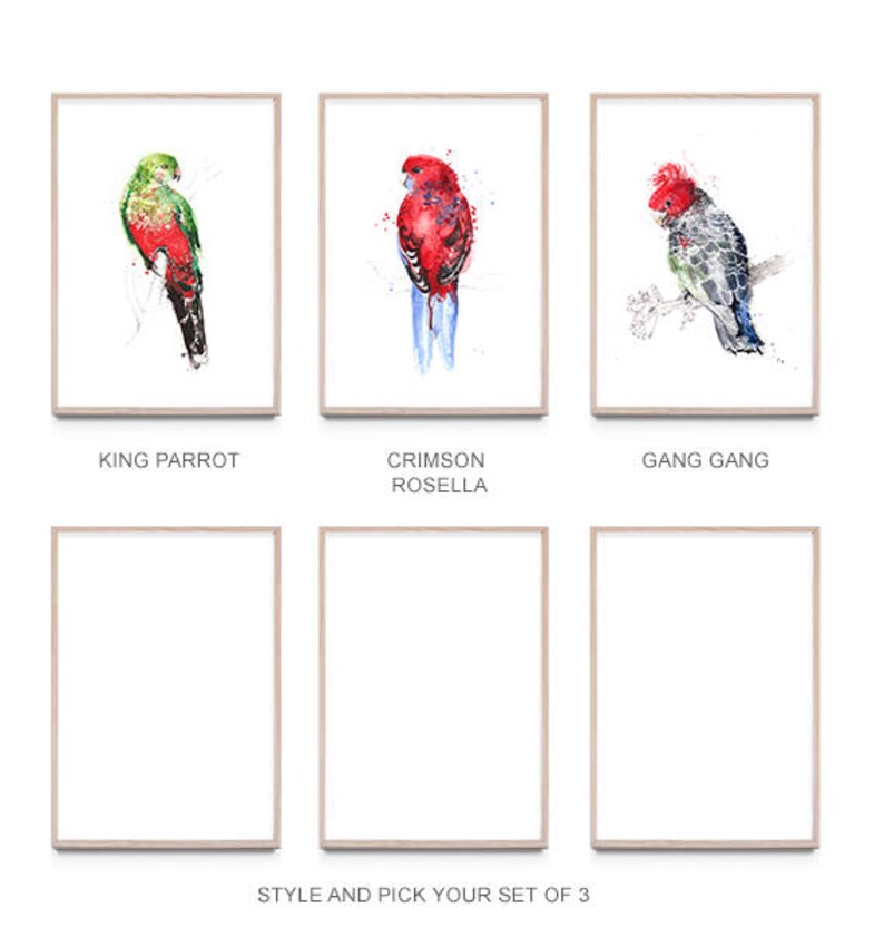 Australian birds A2 print set of 3, giclee, Australiana image 5