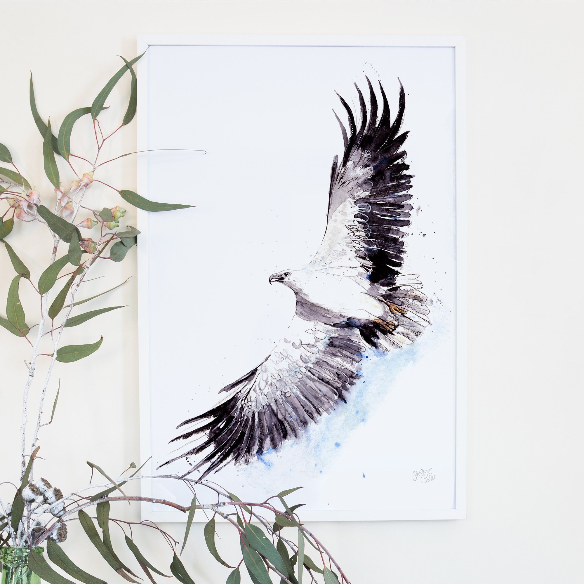 Australian White-bellied Sea Eagle Art Print, Watercolour Bird Giclée ...