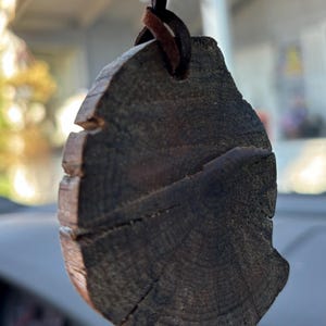 May include: A dark brown wooden pendant with a leather cord. The pendant is shaped like a tree trunk cross-section, showing the wood grain.