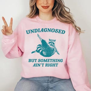 May include: Pink sweatshirt with a teal raccoon graphic and the text "Undiagnosed but something ain't right".