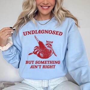 May include: Light blue sweatshirt with a red graphic of a raccoon and the text "Undiagnosed but something ain't right".