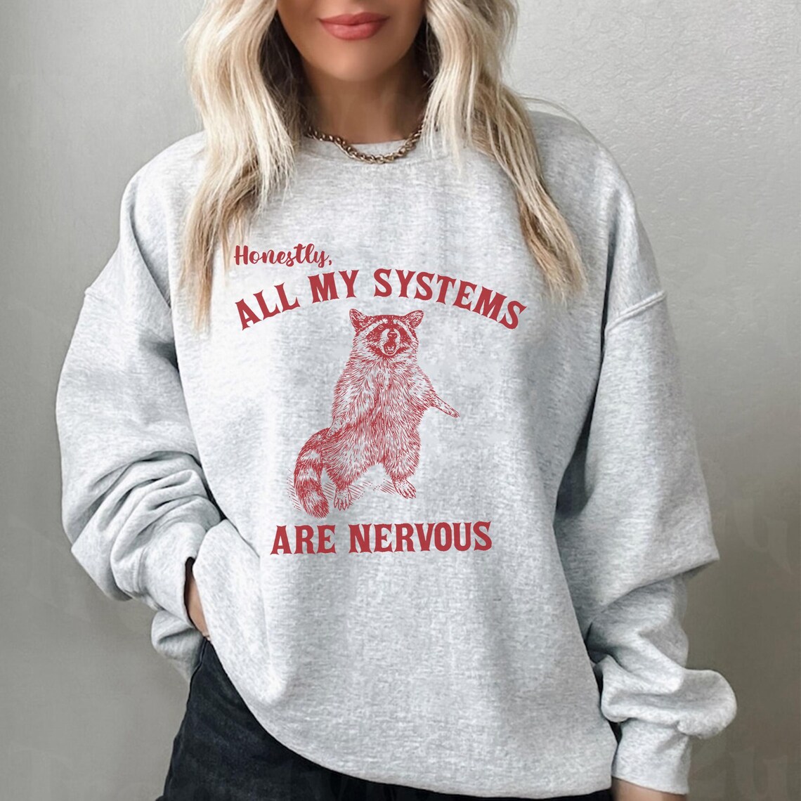 Honestly All My Systems Are Nervous PNG, Funny Raccoon Meme, Funny ...