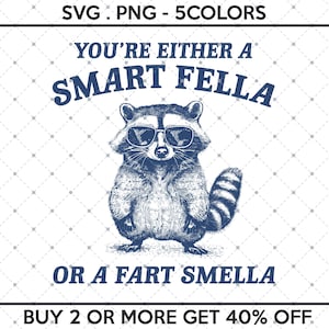 You Are Either A Smart Fella Or A Fart Smella SVG PNG, Retro Cartoon Digital File, Weird PNG, Meme Raccoon Merch, Smart Fella, Fart Smella