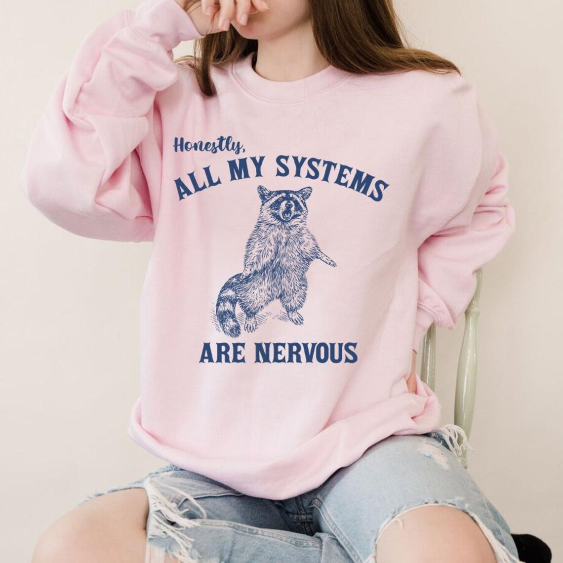 Honestly All My Systems Are Nervous PNG, Funny Raccoon Meme, Funny ...