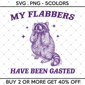 My Flabbers Have Been Gasted SVG PNG, Funny Raccoon Meme, Funny Trash Panda, Funny Sarcastic Snarky, Adult Humor Funny Quotes, Raccoon Funny