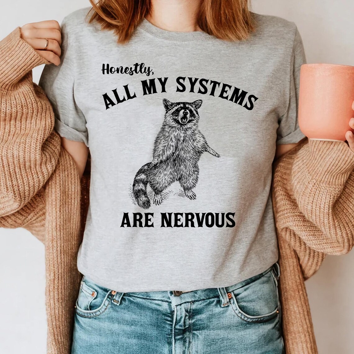 Honestly All My Systems Are Nervous PNG, Funny Raccoon Meme, Funny ...