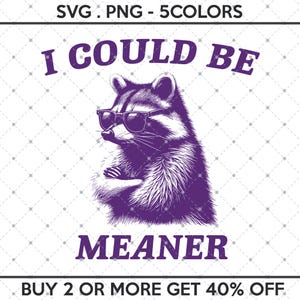 May include: A purple raccoon wearing sunglasses with the text "I could be meaner" and "Buy 2 or more get 40% off" below the image.