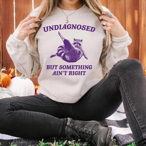 May include: A light grey sweatshirt with a purple raccoon graphic and the text "Undiagnosed but something ain't right".