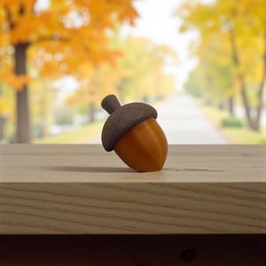 Rustic Acorn Drawer Knob: Woodland Adventure Cabinet Pull for Nursery & Kids Room Furniture