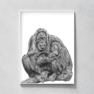 Orangutan Nursery Print, Animal Wall Art, Orangutan Kid&#39;s Room Decor, Cute Orangutan Print, Wildlife Poster