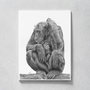Chimpanzee Print, Chimp Animal Wall Art, Nursery Decor Black and White, Printable Kids Room Large Poster, Wildlife Art, Chimp Decor