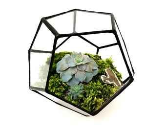 Dodecahedron Small Geometric Glass Terrarium / Handmade Planter / Indoor Gardening / Urban Garden for Air Plant, Succulent & Cactus