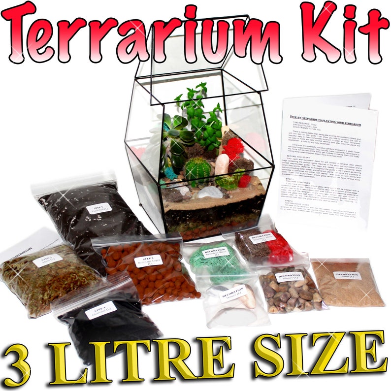 Large 3 Litre Terrarium Kit UK DIY Succulent & Cacti Plant Etsy
