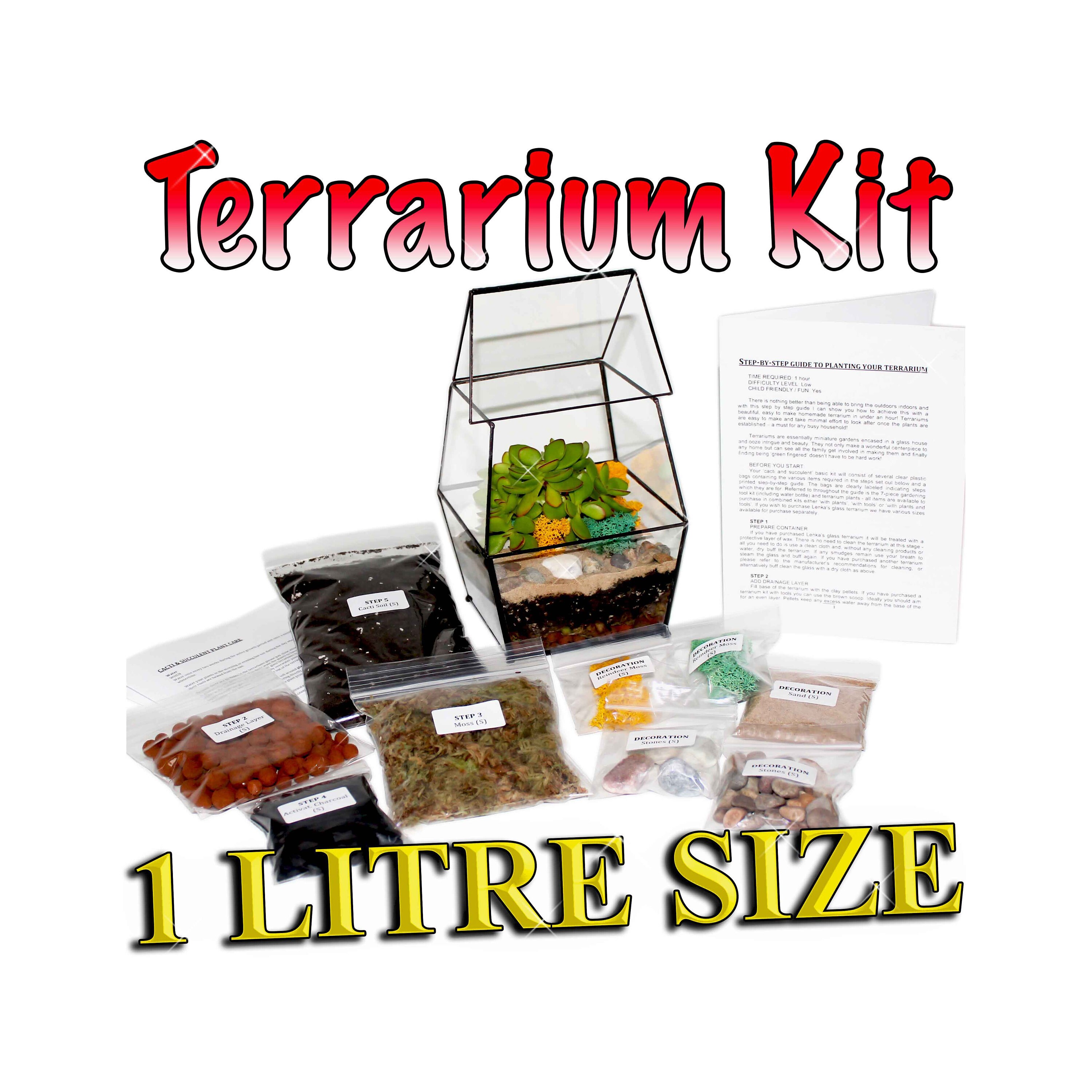 Smal 1 Litre Terrarium Kit UK DIY Succulent & Cacti Plant Step by Ste…