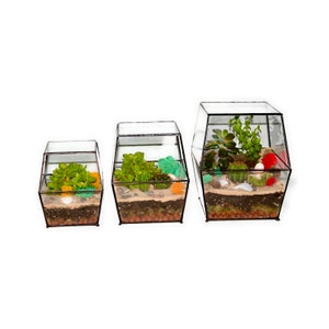Large Enclosed Terrarium / Sliding Door / Glass Planter with Lid / Geometric Plant Pot / Home Decor / Indoor Gardening / Urban Garden / Sale image 6