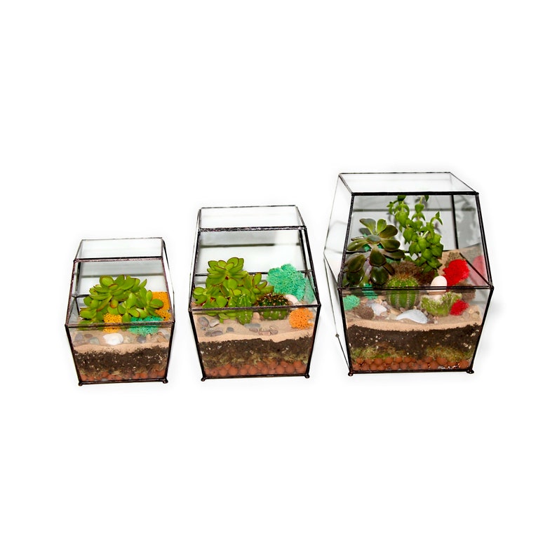 LARGE ENCLOSED TERRARIUM Black / Sliding Door / Glass Planter Etsy