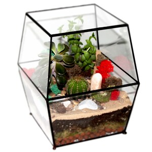 Large Enclosed Terrarium / Sliding Door / Glass Planter with Lid / Geometric Plant Pot / Home Decor / Indoor Gardening / Urban Garden / Sale image 2