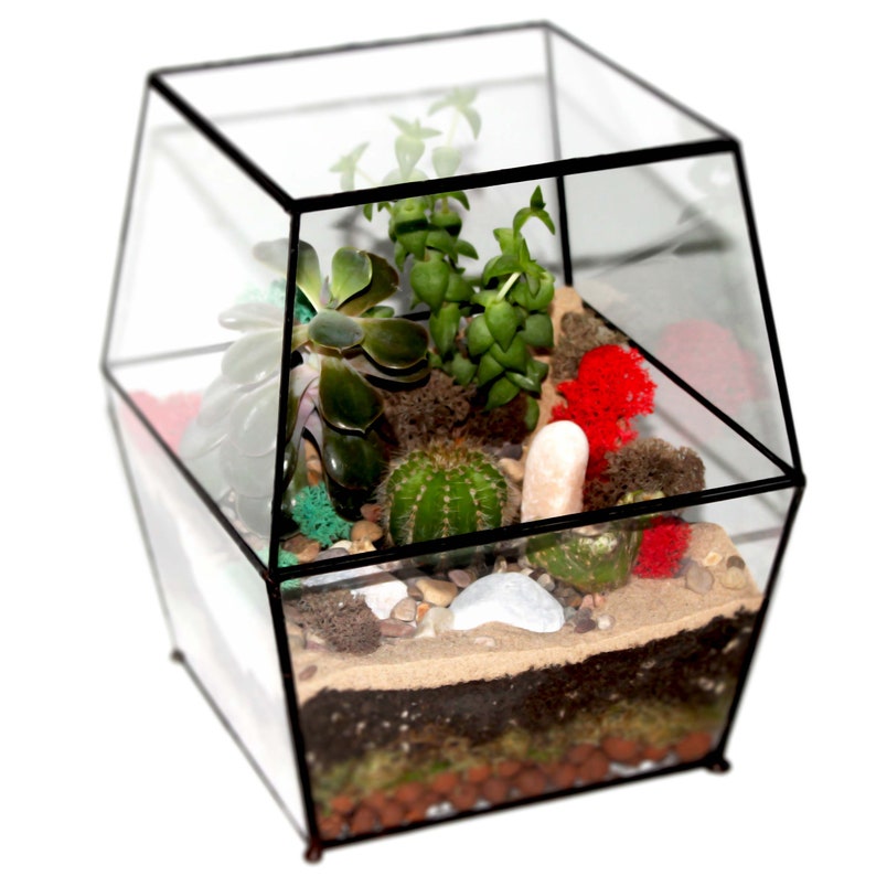 Large Enclosed Terrarium / Sliding Door / Glass Planter with Lid / Geometric Plant Pot / Home Decor / Indoor Gardening / Urban Garden / Sale image 2