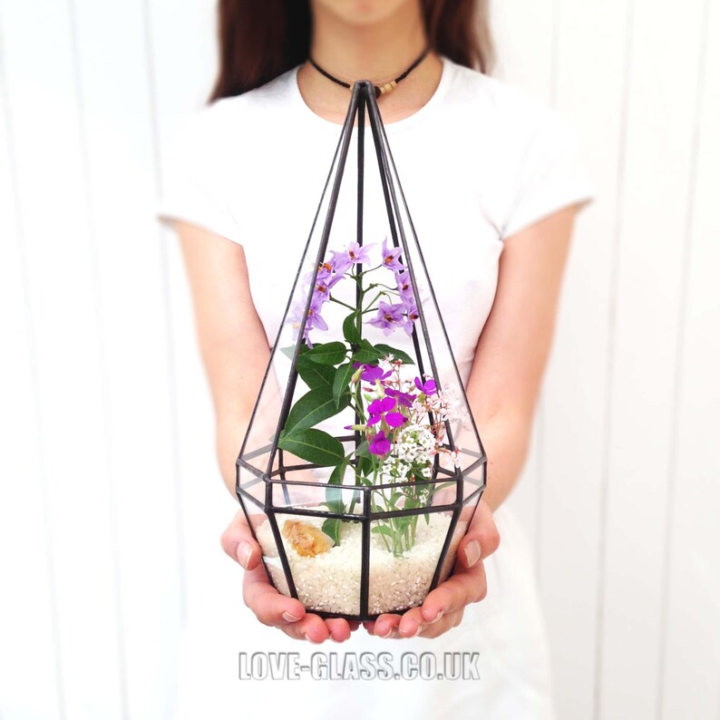 Succulent /& Cactus Octagonal Pyramid Geometric Glass Terrarium Handmade Planter Indoor Gardening Urban Garden for Air Plant