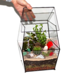 Large Enclosed Terrarium / Sliding Door / Glass Planter with Lid / Geometric Plant Pot / Home Decor / Indoor Gardening / Urban Garden / Sale image 5